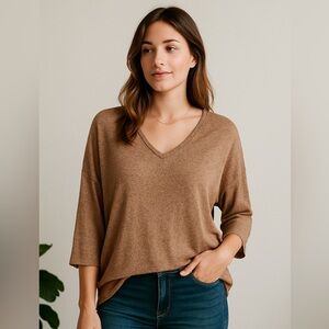 Express Brown V-Neck Lightweight Knit Top Rayon Blend – Size L